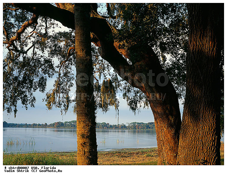 large format, ��������, �������, ����, ������, ���, ����, ����� ������, �������, ������� ������, ������� ������