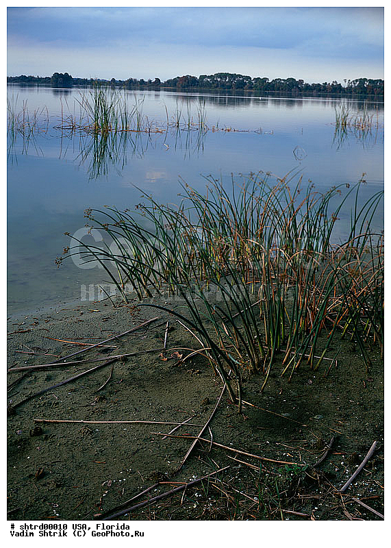 large format, ��������, �������, ����, ����, �������, ������� ������, ������� ������