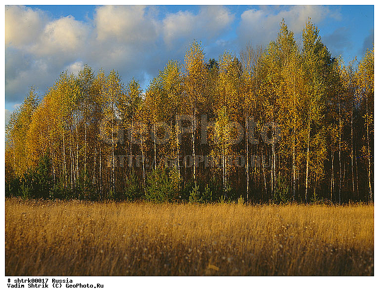 large format, ������, �������, ������� �� ���� ����, ���������, ����, ������, ������� ������, �����, ������, ����, ������� ������, ������� ������