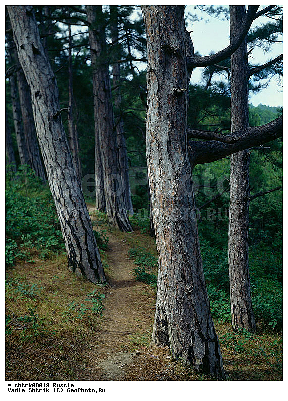 large format, ���������, ������, ������ ����, ������, ���������, ���, ����, ������, �����, �����, �����, ������, ��������, ������� ������, ������� ������, ������������ ���������