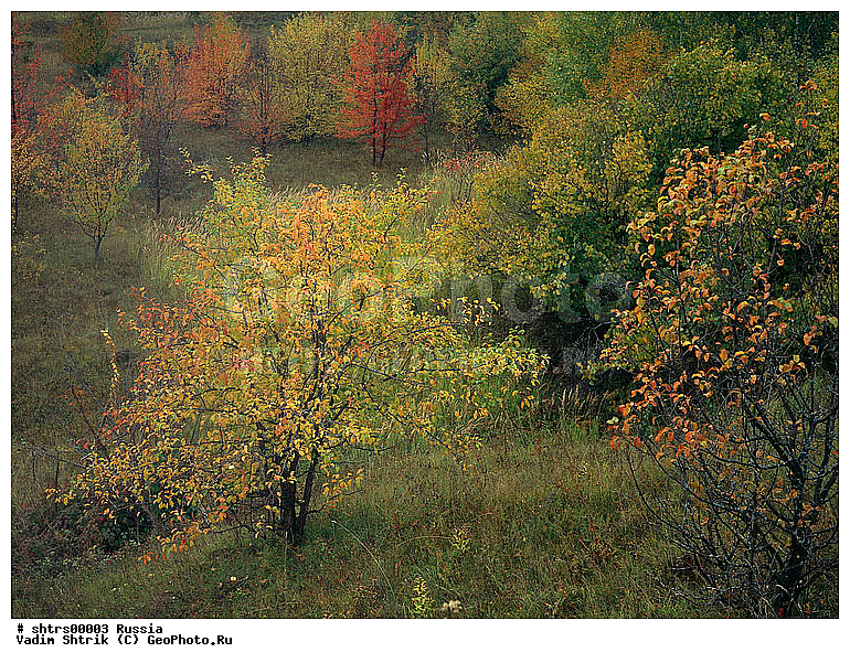 large format, ��������� �������, ���, ������, �������, ������, �������, ���������, �������, ������� ������, ������� ������, �����, ������, ������� ������, ������� ������, �����