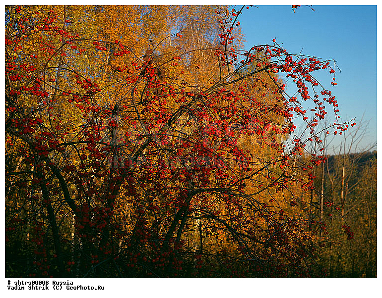 large format, ��������� �������, ���, ������, ������, �������, ���������, ������� �����, �������, ����� ������, �������, ������� ������, ������� ������, �����, ������, �����, ������� ������, ������� ������, �����