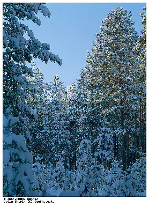 large format, ������, ������, ����, ������ ���, ���������, ������, �����, ����, �����, �����, ������� ������, ������� �����, ������� ������