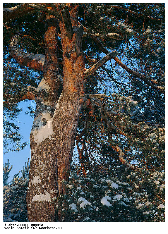 large format, ������, ������, ���������, �����, �����, �����, �����, ������� ������, ������� �����, ������� ������