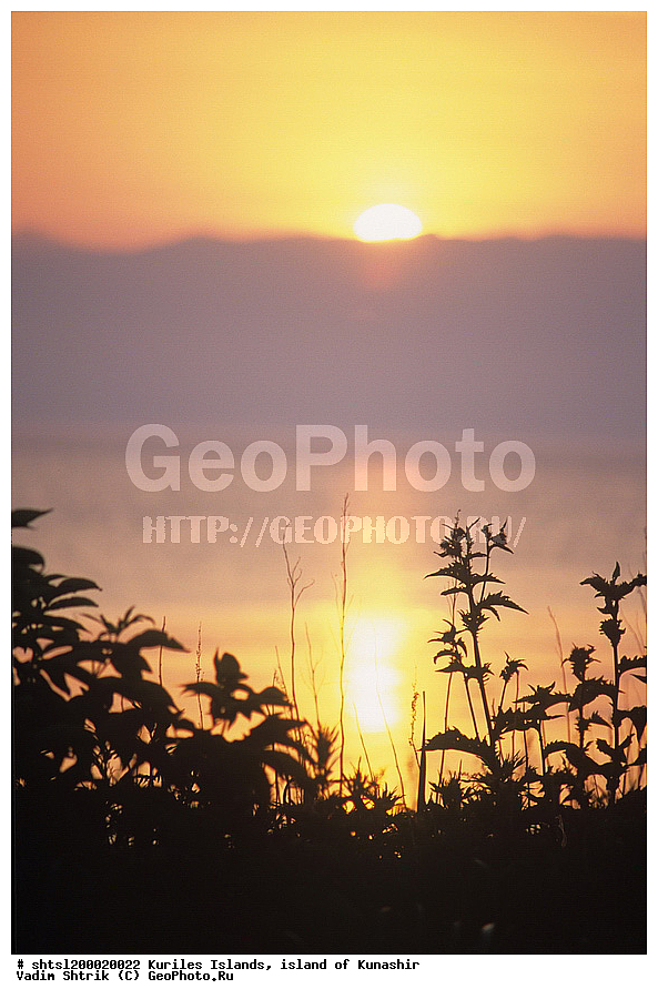 ������ ����������� ������, ������� ������, �������, ������, ����� ������, �����, ��������, ����������