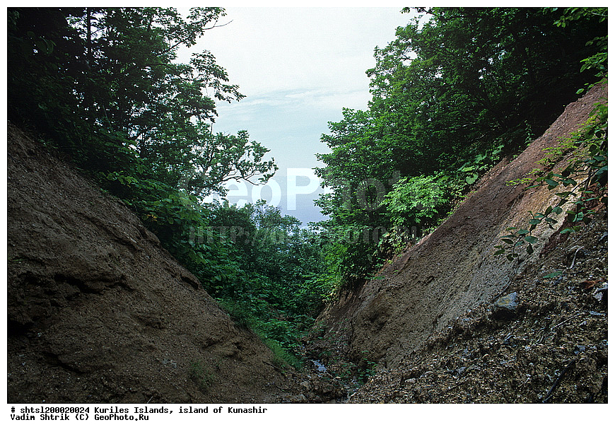 ������� ������, �������, ������, ����� ������, ��������, ����������