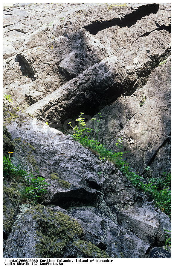 ������� ������, �������, ������, ����� ������, ��������, ����������