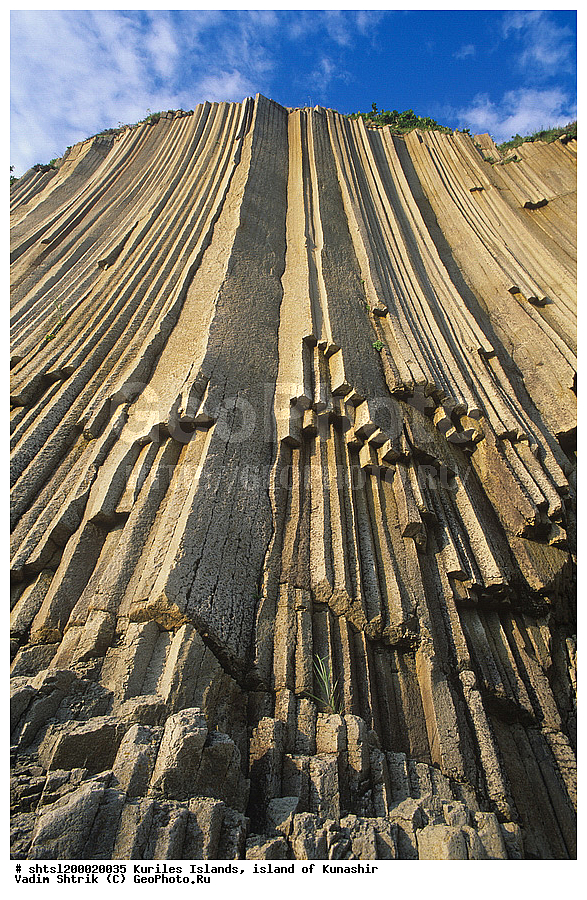 ������� ������, �������, ������, ����� ������, �������� , ������ �������, ������ � ����������� ������� � ������ ���� �����������, ���������� ���������, ����������