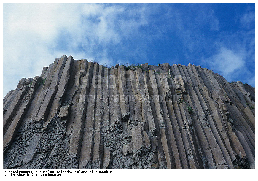 ������� ������, �������, ������, ����� ������, �������� , ������ �������, ������ � ����������� ������� � ������ ���� �����������, ���������� ���������, ����������