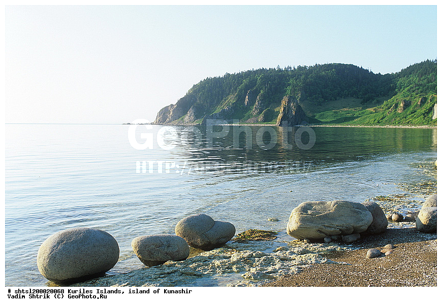 ������� ������, �������, ������, ����� ������, ������� �����, �������� , ��� �����������, ����������