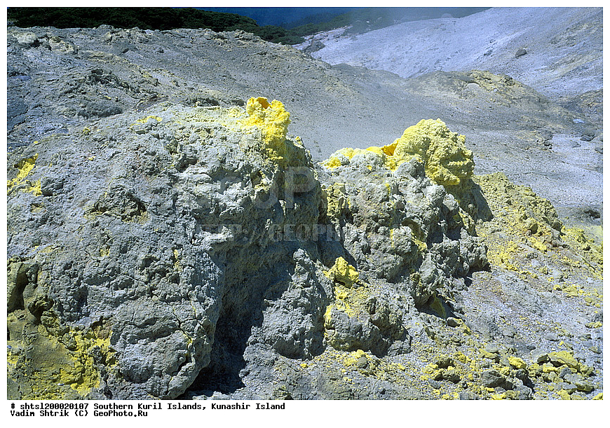 ������� ������, �������, ����������, ����� ������, ������, ������ ����������, ������ ����, ������, ����, ����, ��������� ���, ��������, ������������, ����������� ����