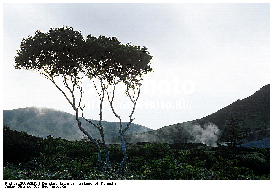 ���������, ������� ������, �������, ������, ����-��������, ����� ������, ������, ����, ��������, ����, �����