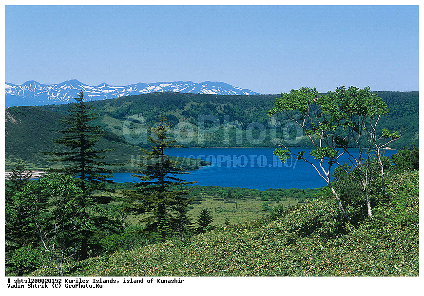 ���������, ������� ������, �������, ������, ����-��������, ����� ������, ������, ����, ��������, ���� , �����, ����� �������