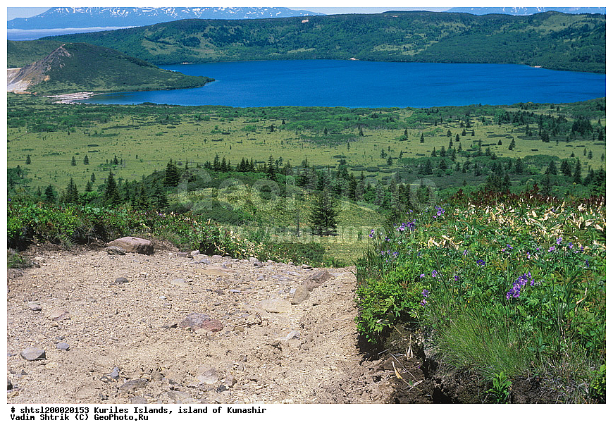 ���������, ������� ������, �������, ������, ����-��������, ����� ������, ������, ����, ��������, ���� , �����, ����� �������