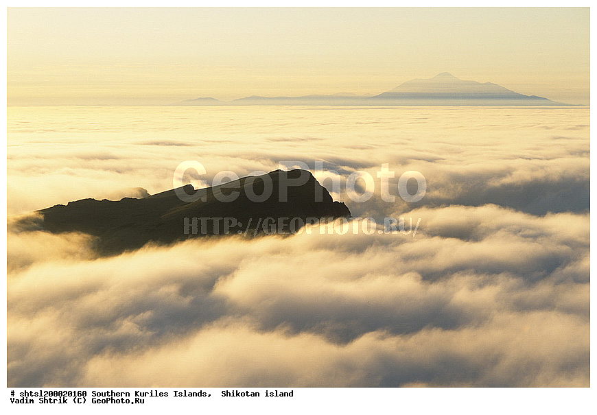 �������, ����� �����, ����, �������, ����� ������, ������, ����, ��������, ������, �����, ����, ��� �����, ������, ����������, ������, �����