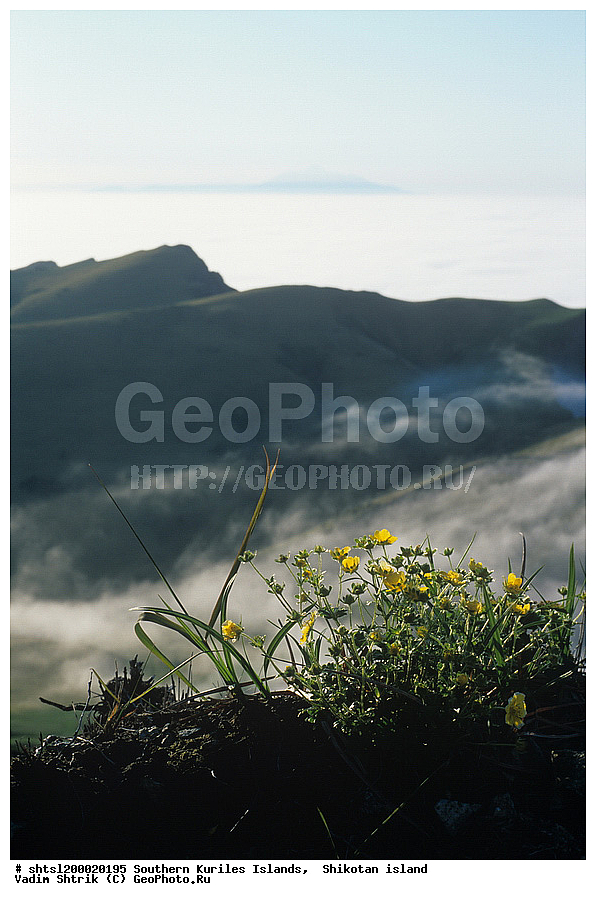 1994, �������, ����� �����, �������, ����� ������, �����, ��������� �����, ����, �����, �������������, ����, ��� �����, ������, ����������, ������, ������, �����