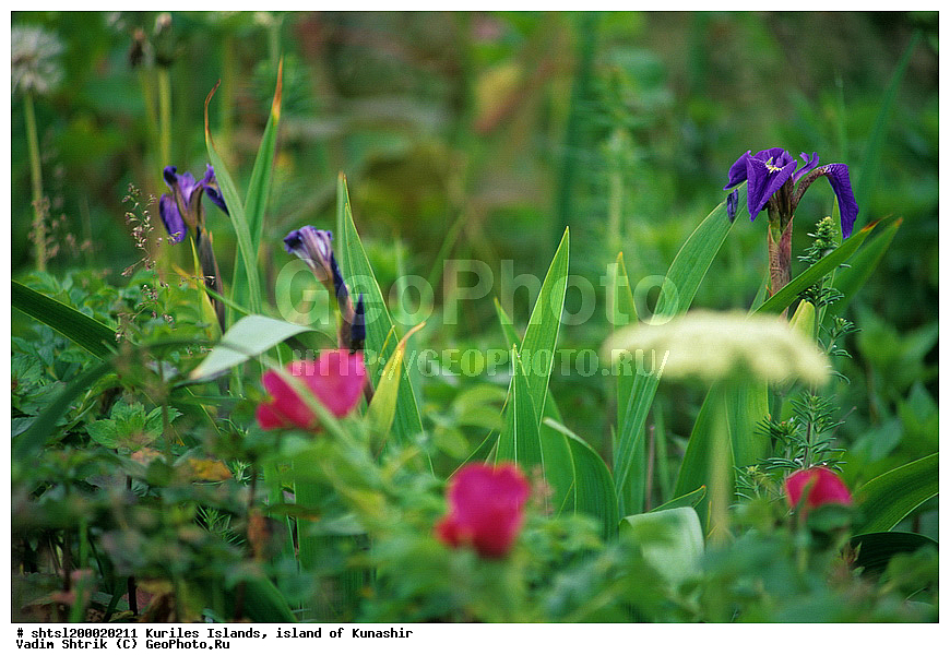 ������� ������, �������, ������, ����� ������, ��������, ���������, ����, ����������, ����������, ��������, ���������, �����