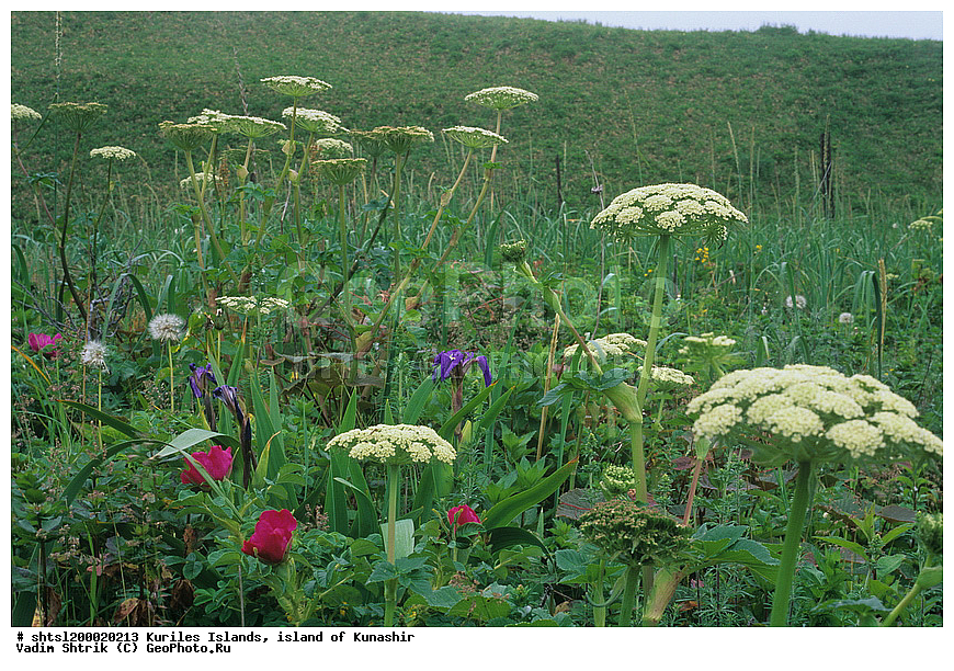 ������� ������, �������, ������, ����� ������, ��������, ���������, ����, ����������, ����������, ��������, ���������, �����