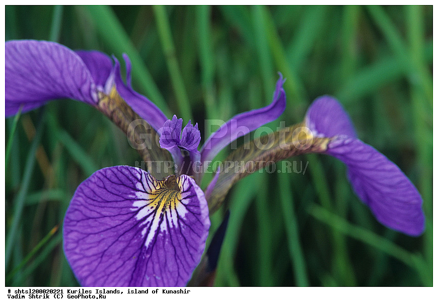 ������� ������, �������, ������, ����� ������, ��������, ���������, ����, ����������, ����������, ��������, ���������, �����