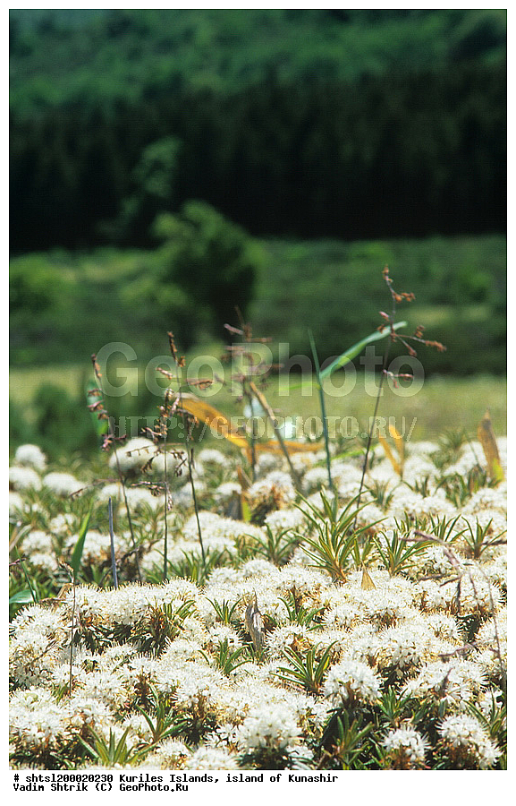 ������� ������, �������, ������, ����� ������, ��������, ���������, ����, ����������, ����������, ��������, ���������, �����