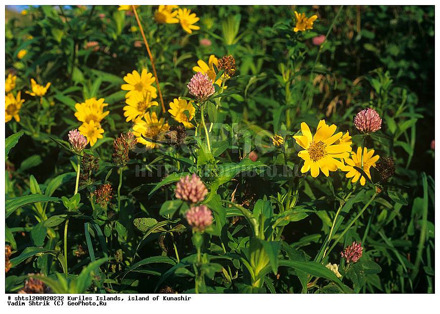 ������� ������, �������, ������, ����� ������, ��������, ���������, ����, ����������, ����������, ��������, ���������, �����