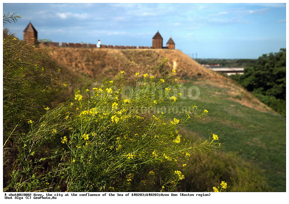 ����, �����, ���, �������� ����������, �������� ����,  �������� ��������, ��������, ���������� �������, ���������� ����, ��� 