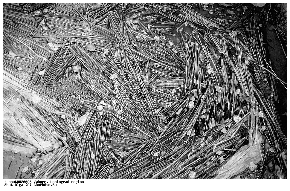 ������, ������������� �������, ������� ��������, ������, ������ 35��, �����, ����, ������, �����? �����, �������, ����������