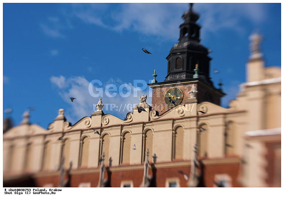 ������, ������, ������, ������, �����,  ��������, ������ �����, �����, ������