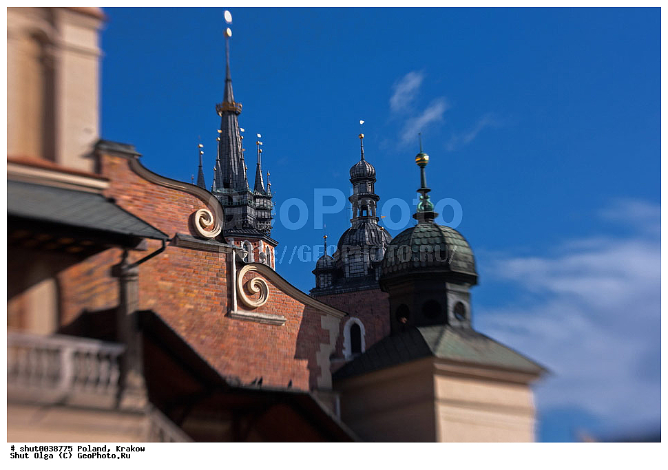 ������, ������, �����,  ��������, �����, ������ �����