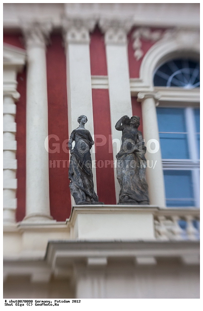 ��������, �������, �����������, ��������