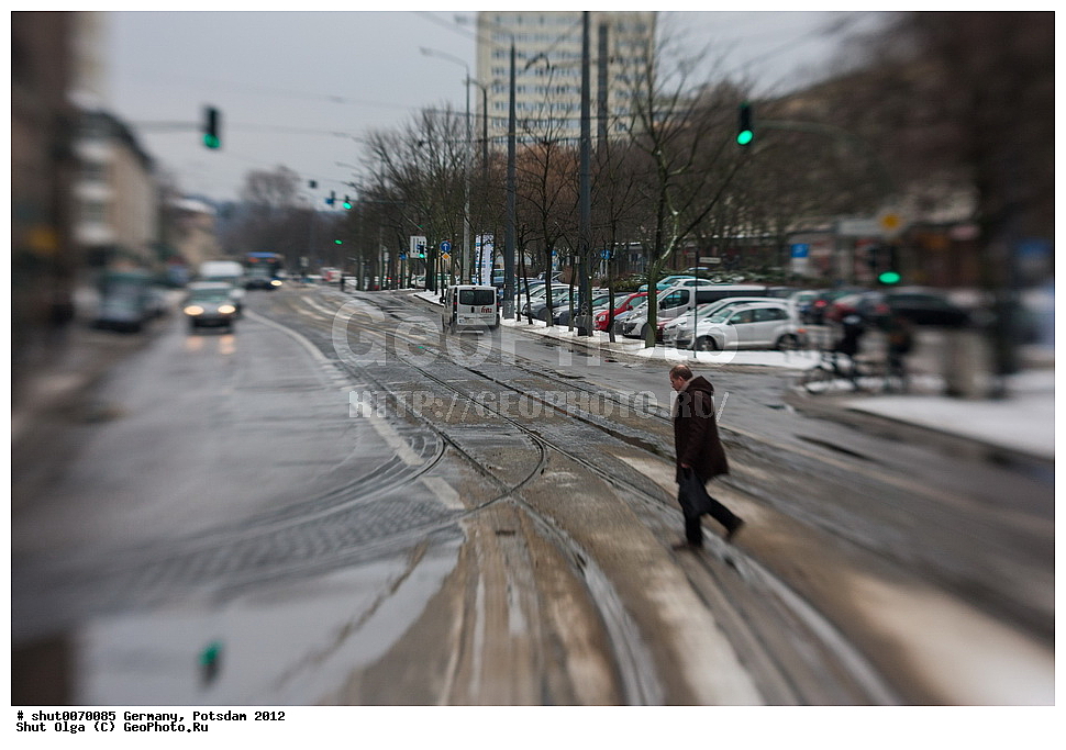 ��������, �������, �����������, ��������