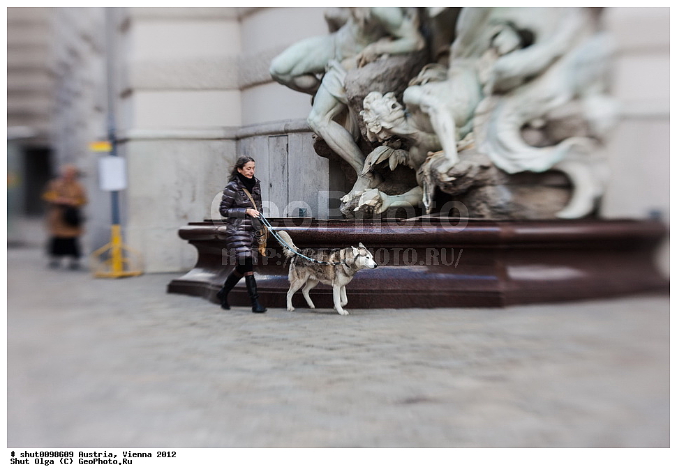 �������, ����, �����������, ������, �������, �������� 