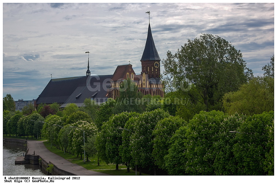 ������, �����������, �����������, ʸ������������ ������������ �����, �����, ʸ�������� 