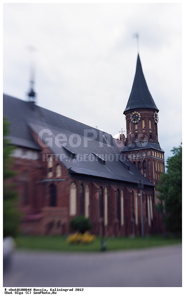 ������, �����������, �����������, ��������,  ������, �����, �����100, ʸ������������ ������������ �����, �����, ʸ��������