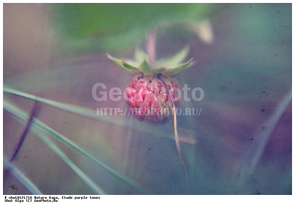 �������, ����, ����, ���������� ����, ���������, ��������