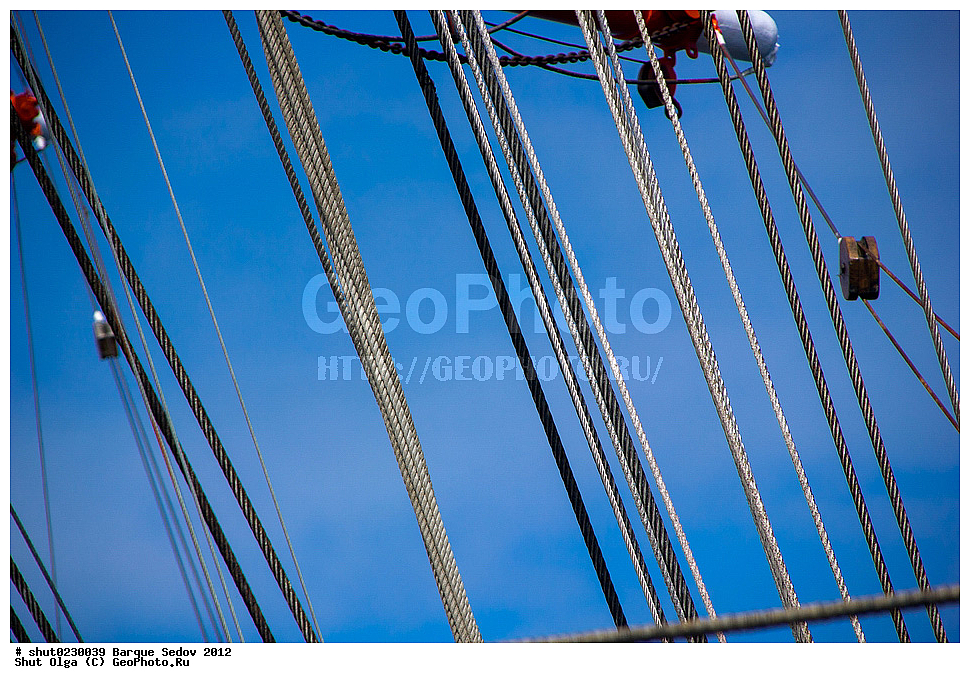 ����, �������, �����, 2012