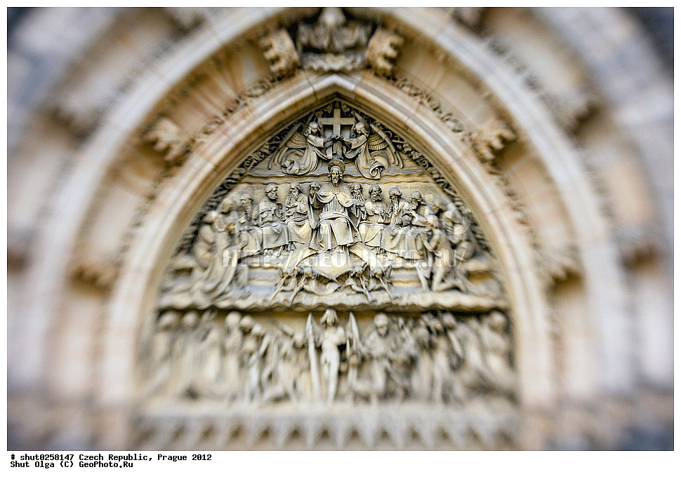 �����, �����, �����������, �����, ��������, ��������, ���������� ��������, ����������, ������