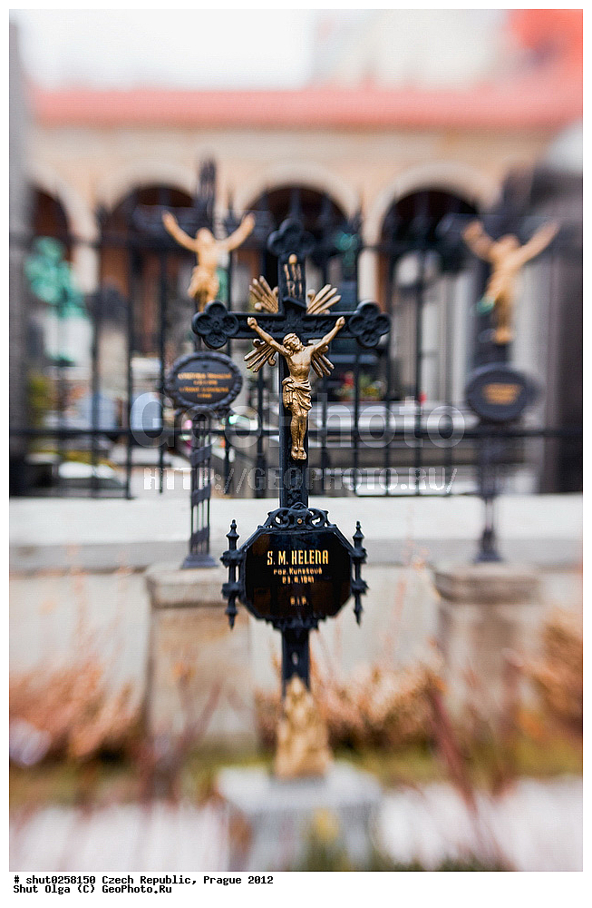 �����, �����, �����������, �����, ��������, ��������, ���������� ��������, ����������, ������, ����� 