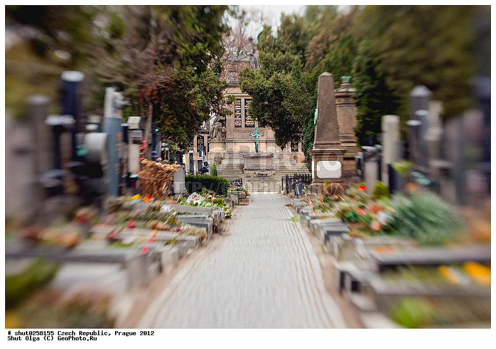 �����, �����, �����������, �����, ��������, ��������, ���������� ��������, ����������, ������