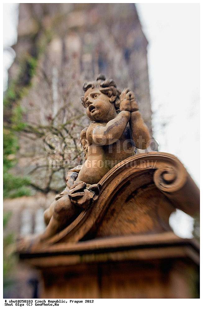 �����, �����, �����������, �����, ��������, ��������, ���������� ��������, ����������, ������