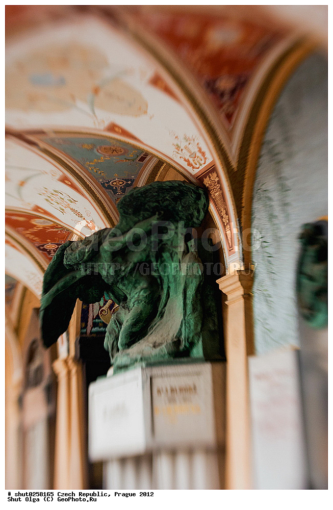 �����, �����, �����������, �����, ��������, ��������, ���������� ��������, ����������, ������