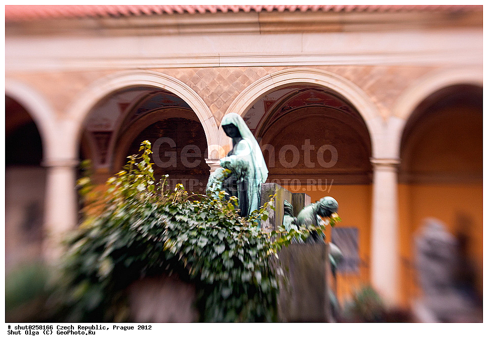 �����, �����, �����������, �����, ��������, ��������, ���������� ��������, ����������, ������