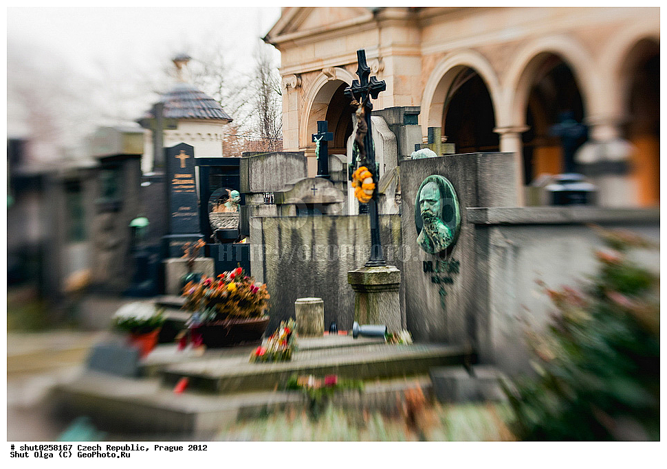 �����, �����, �����������, �����, ��������, ��������, ���������� ��������, ����������, ������