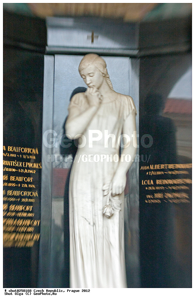 �����, �����, �����������, �����, ��������, ��������, ���������� ��������, ����������, ������, ������, �������