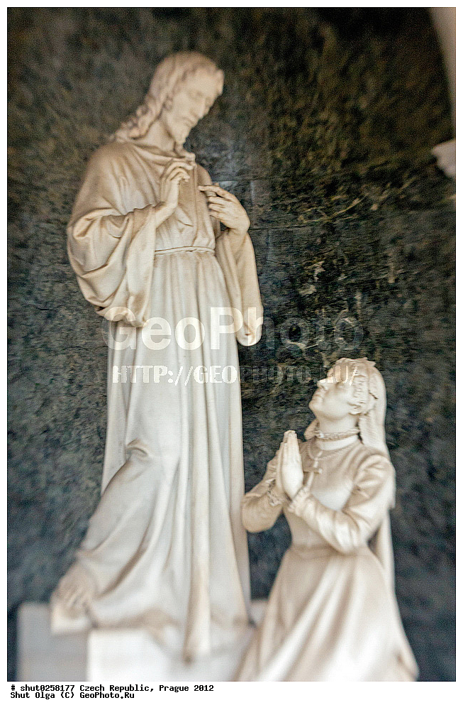 �����, �����, �����������, �����, ��������, ��������, ���������� ��������, ����������, ������, ��������