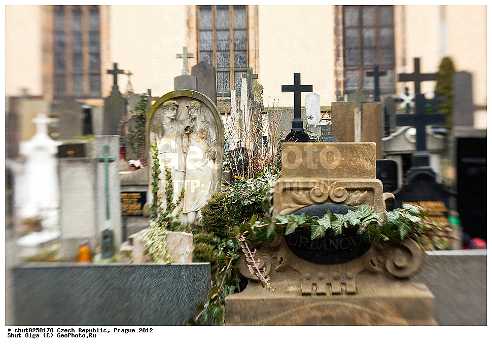 �����, �����, �����������, �����, ��������, ��������, ���������� ��������, ����������, ������