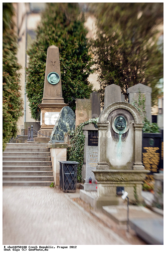 �����, �����, �����������, �����, ��������, ��������, ���������� ��������, ����������, ������