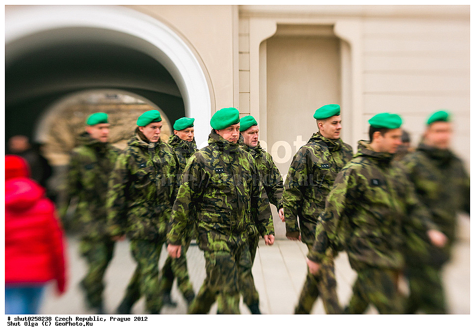 �����, �����, �����������, �����, ��������, �������