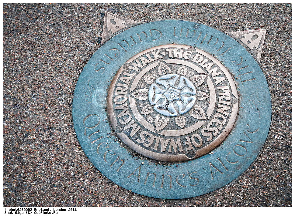 ������, ������, 2011, �����������, ����� ������, ��������, ��������� �����, �����, ��������� ��������