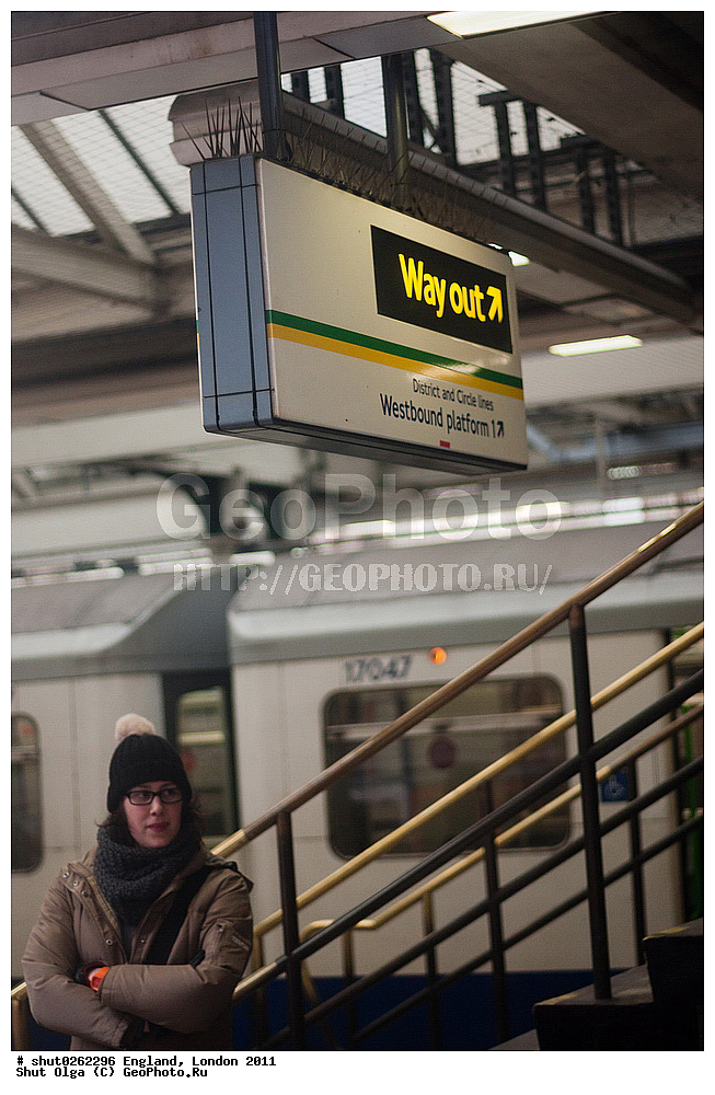 ������, ������, 2011, �����������, ����� ������, ��������, ��������, �������, �������� 